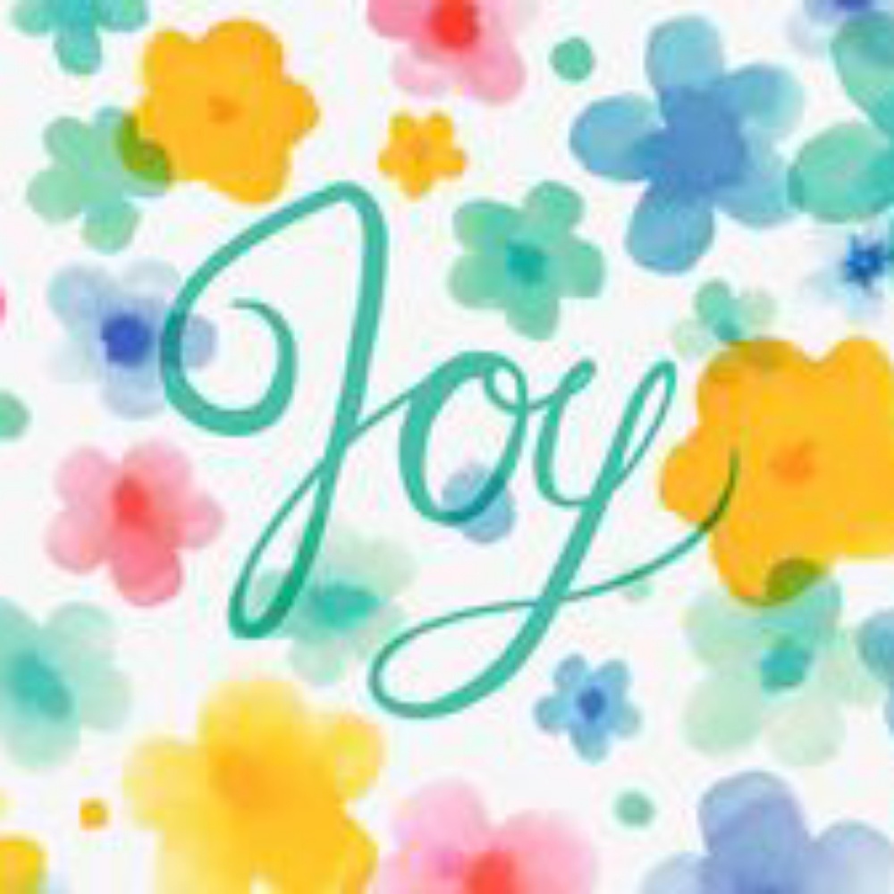 Meet your Posher, Joy's Toys